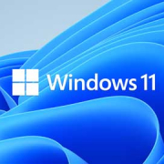 Windows 11 new logo